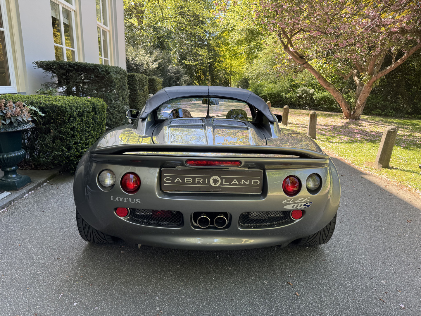 Lotus