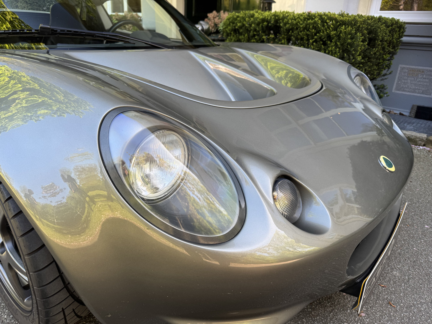 Lotus