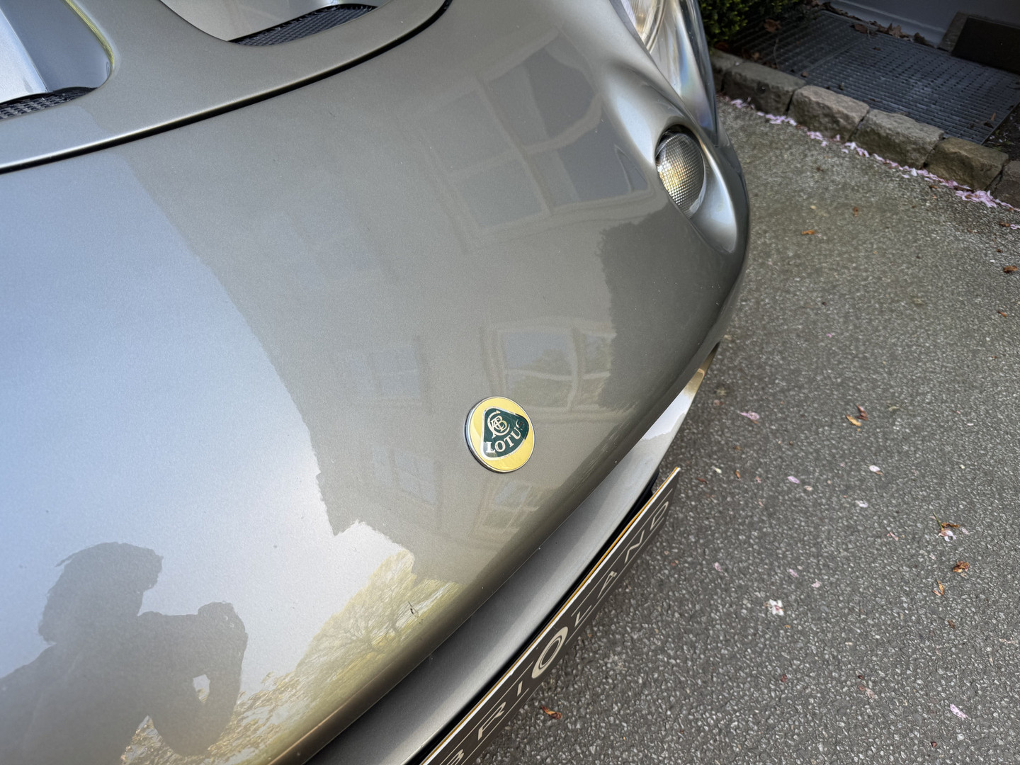 Lotus