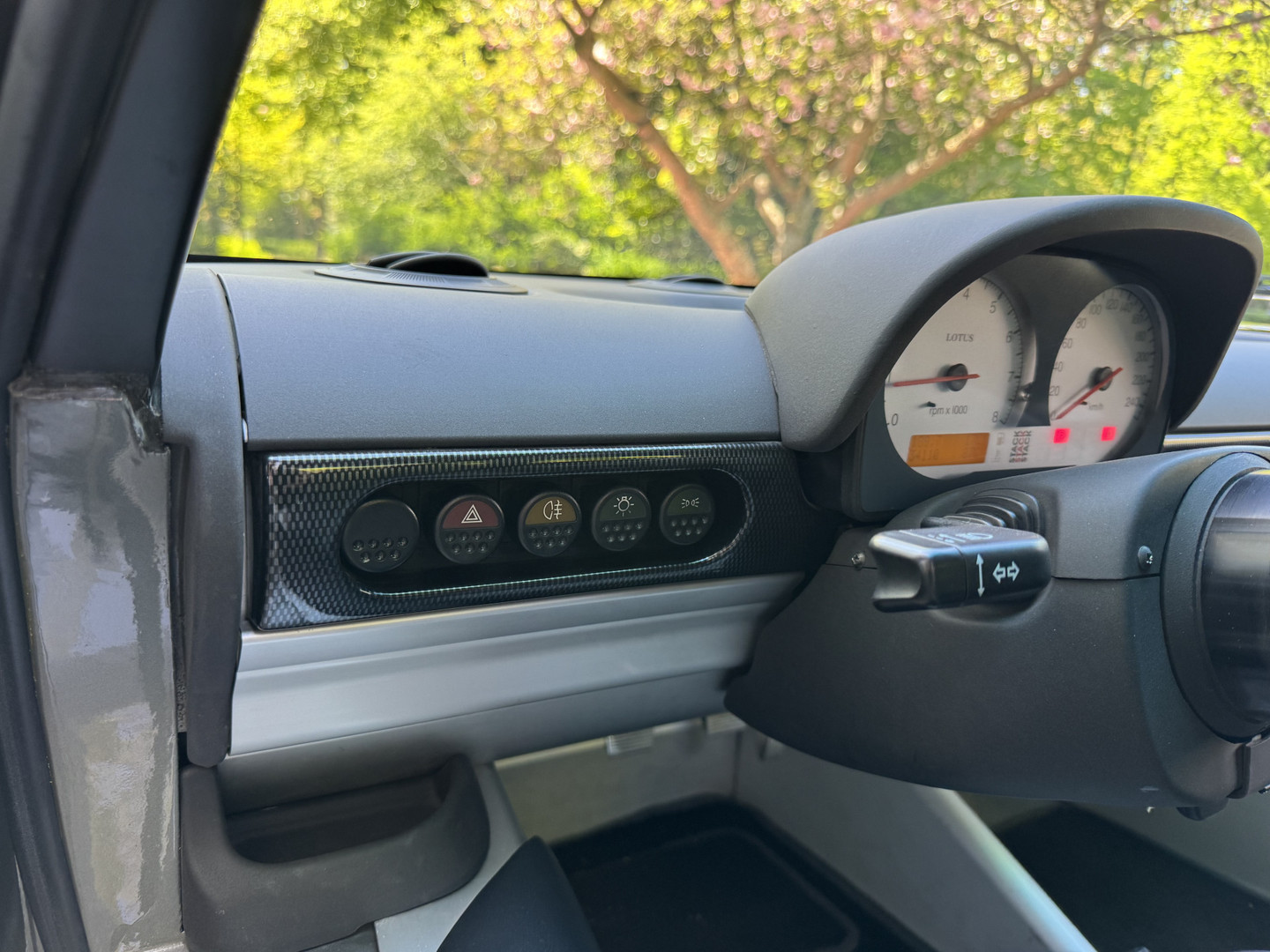 Lotus