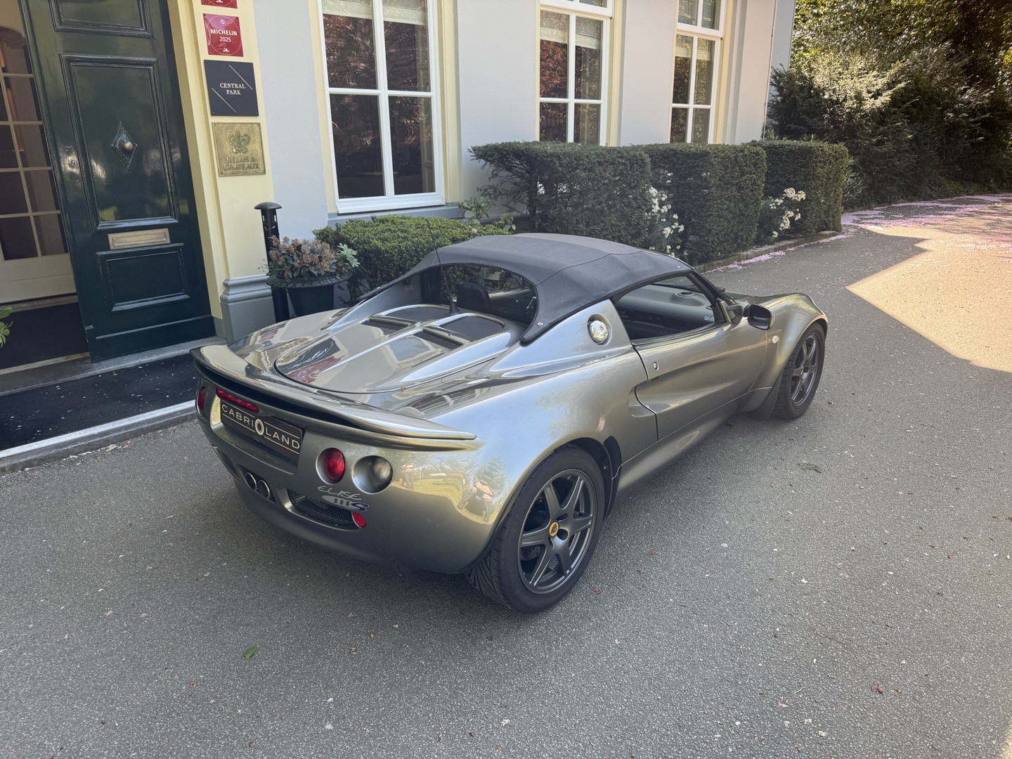Lotus