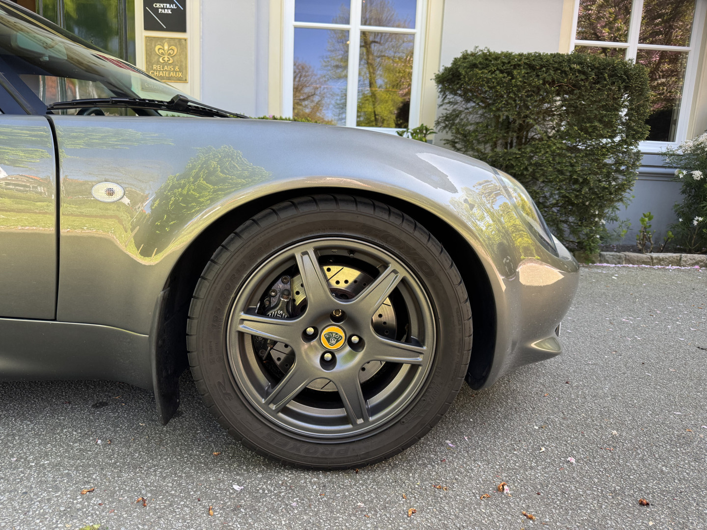 Lotus