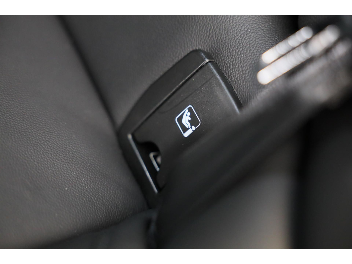 Alfa Romeo Alfa Romeo