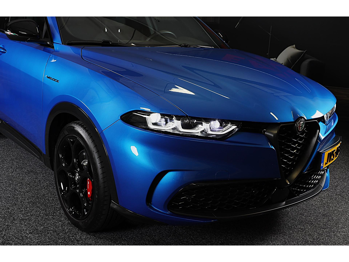 Alfa Romeo Alfa Romeo