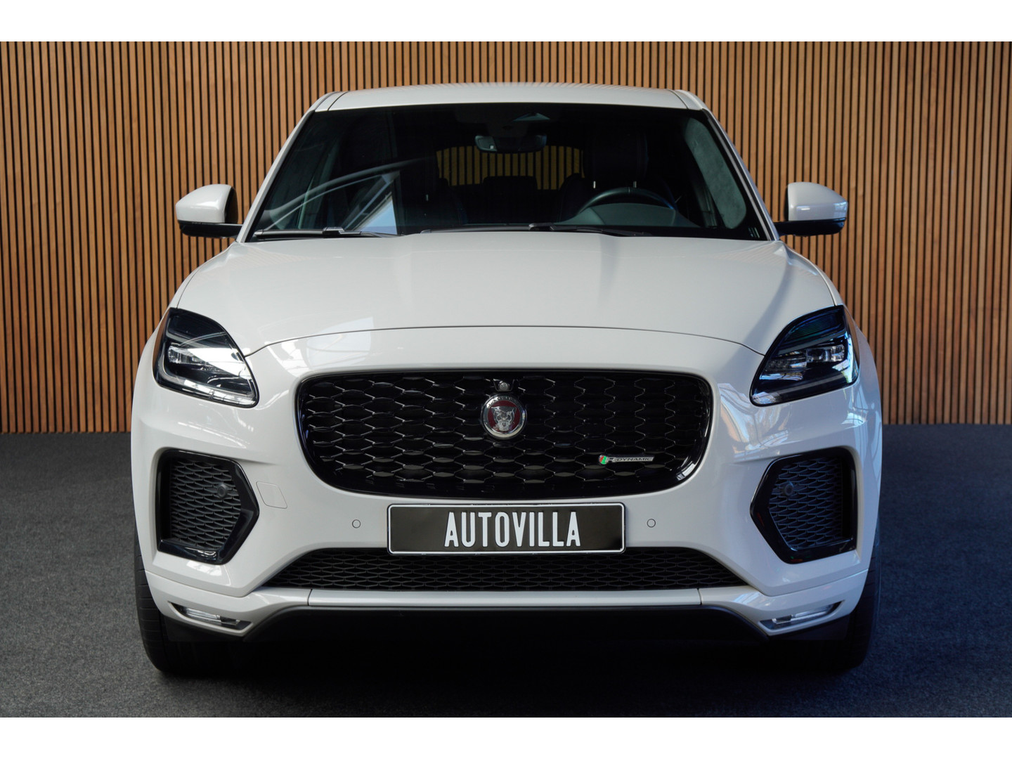 Jaguar