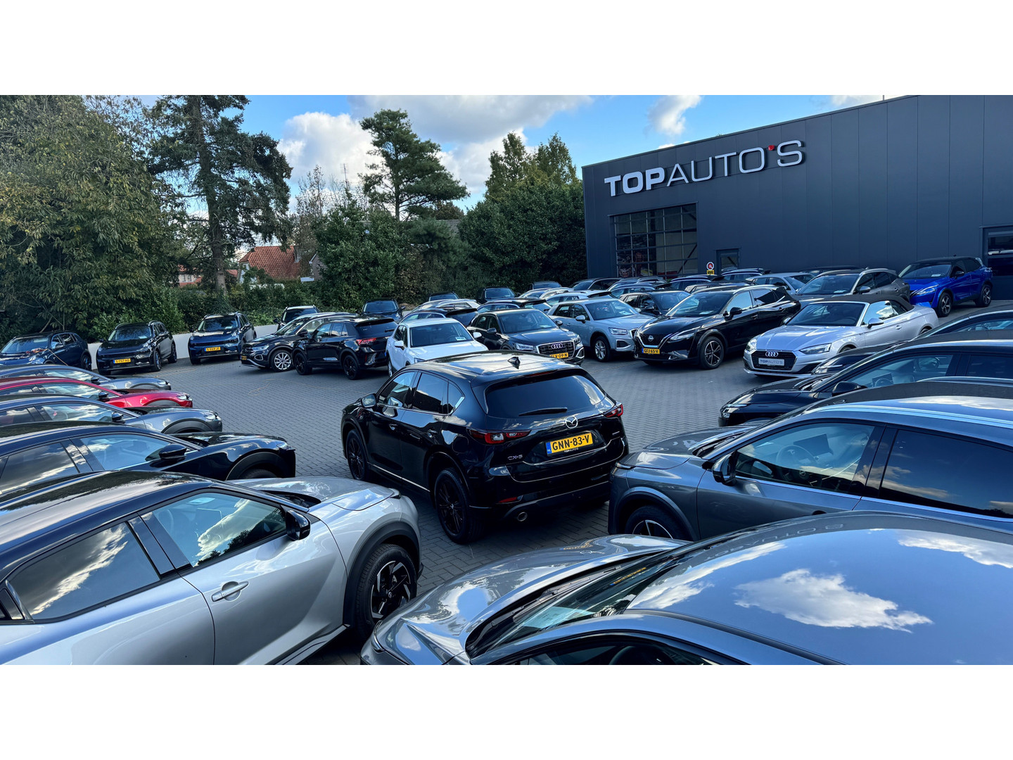 Audi Audi