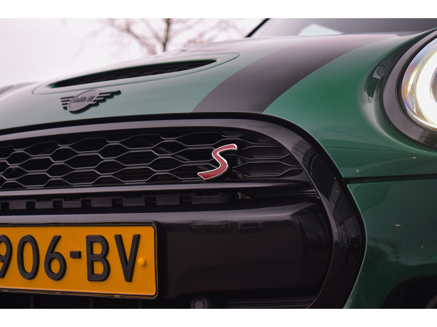 MINI MINI