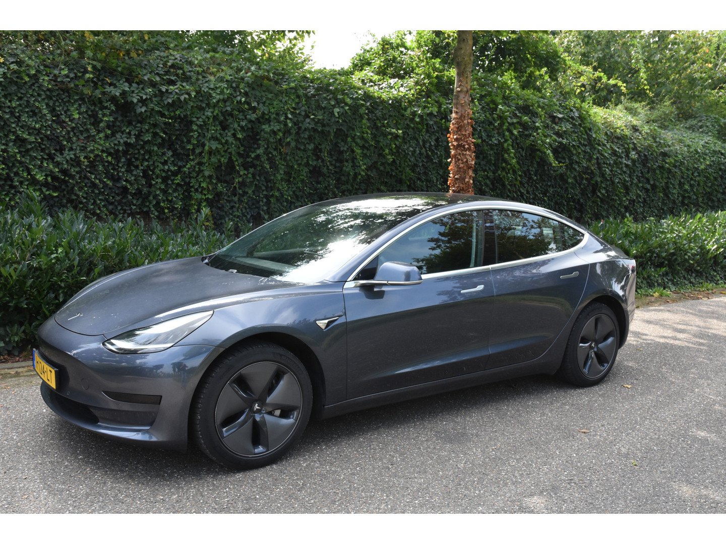 Tesla Tesla