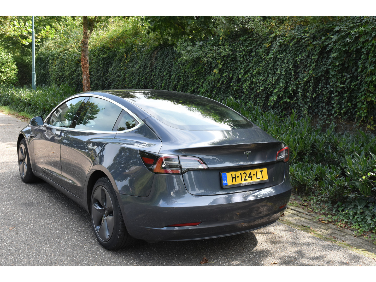 Tesla Tesla
