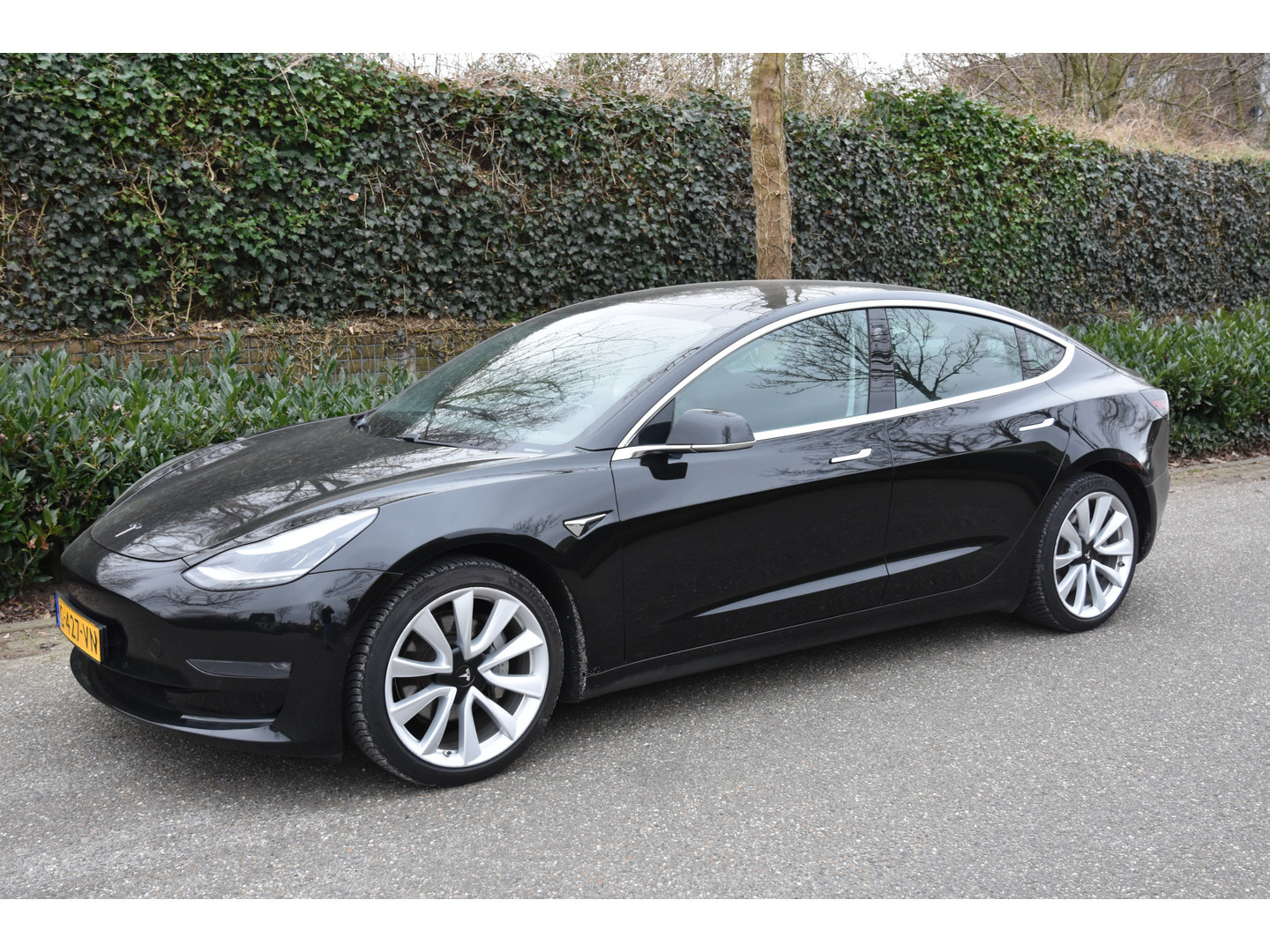 Tesla Tesla