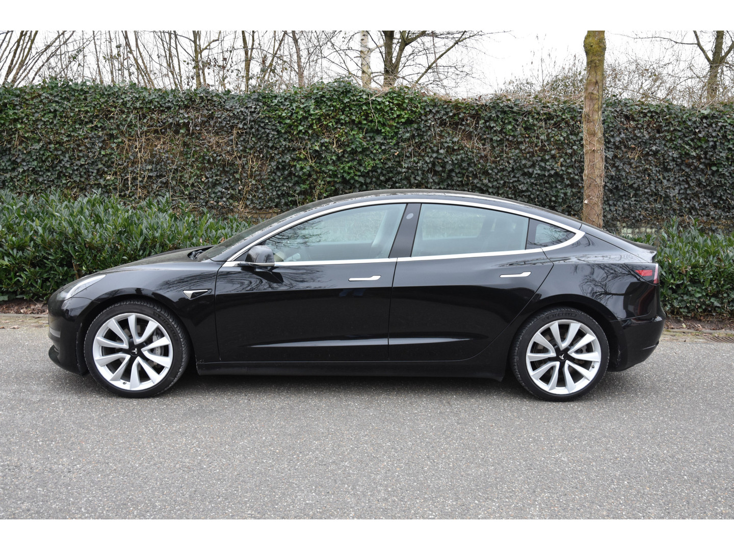 Tesla Tesla