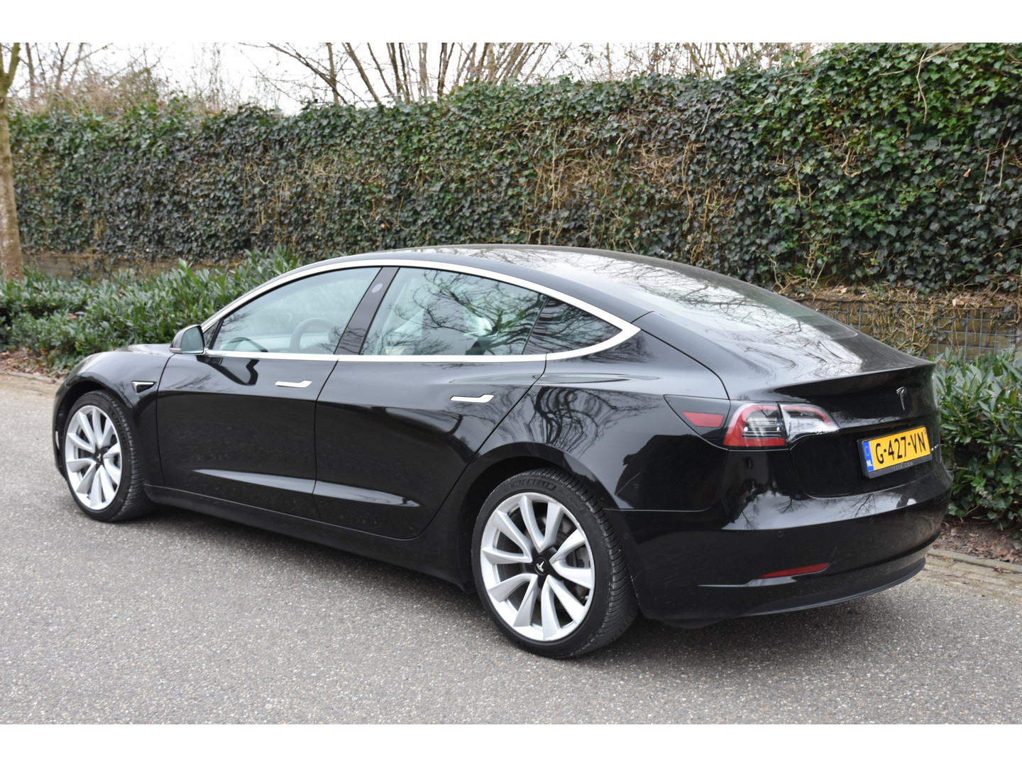 Tesla Tesla