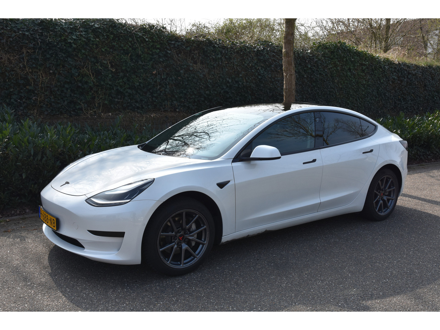 Tesla Tesla