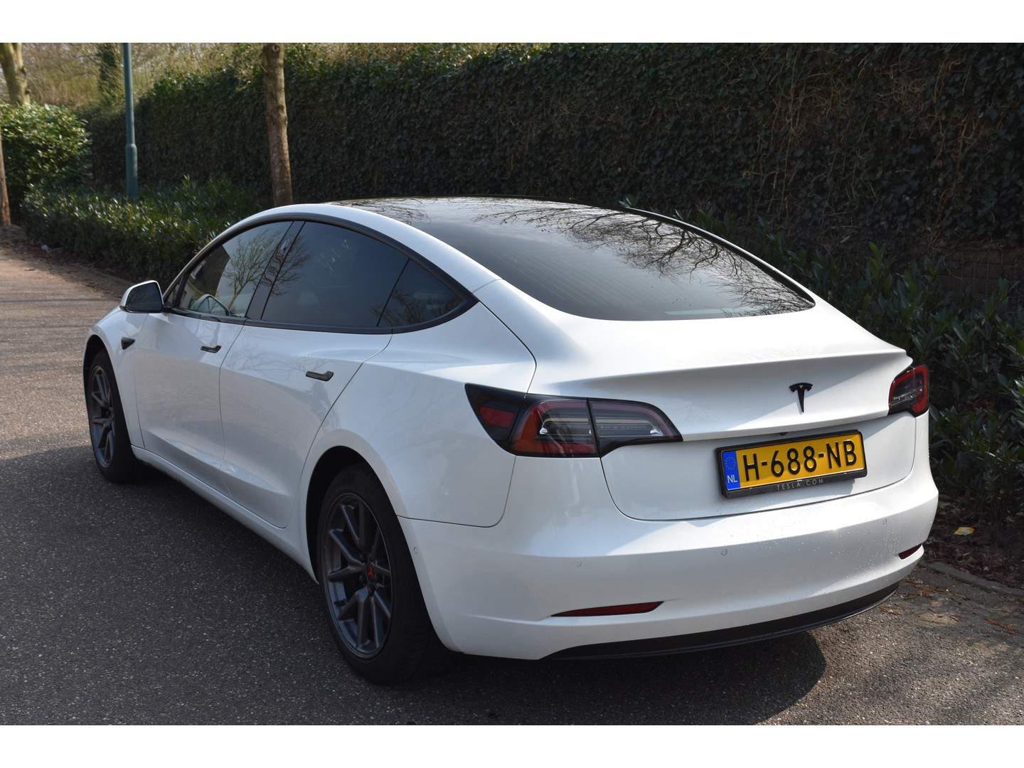 Tesla Tesla
