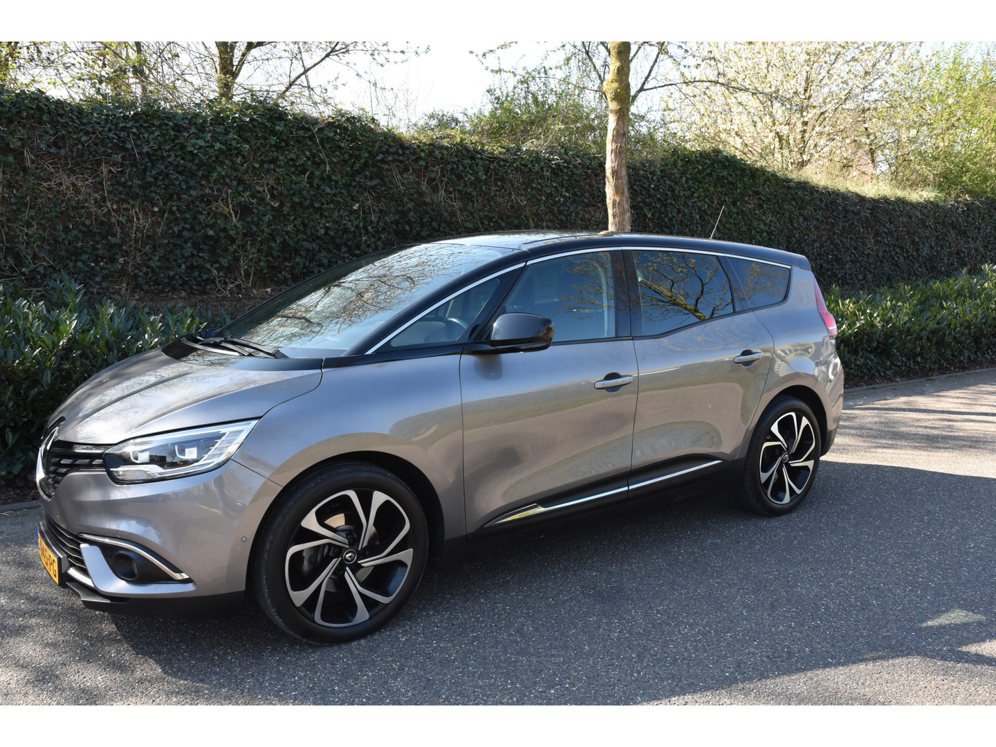 Renault Renault