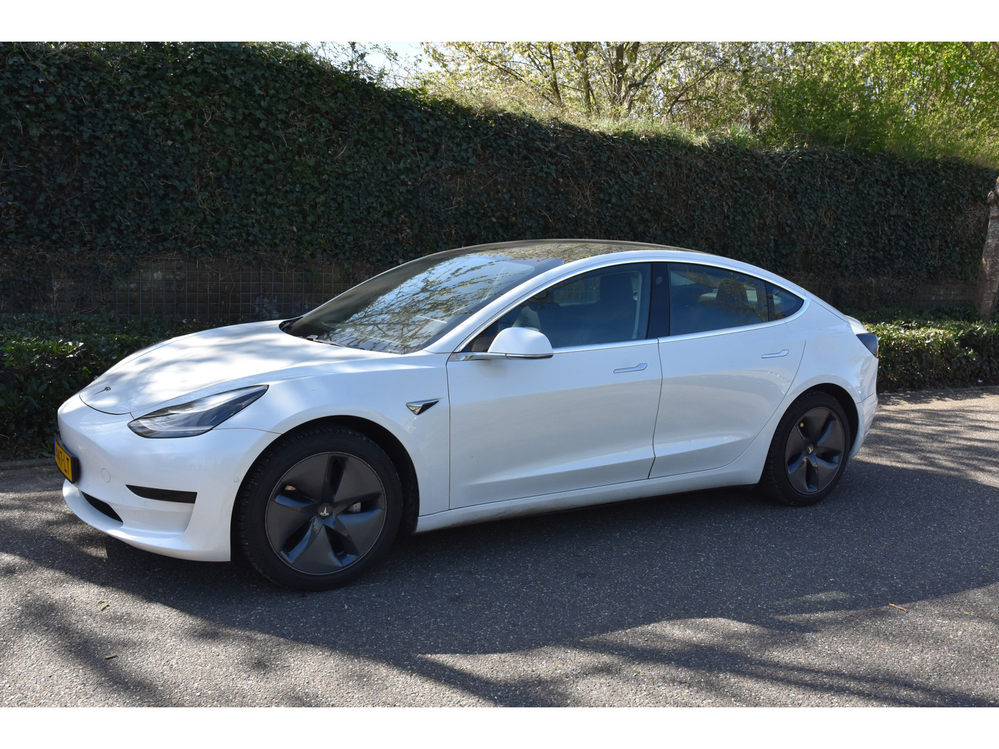Tesla Tesla