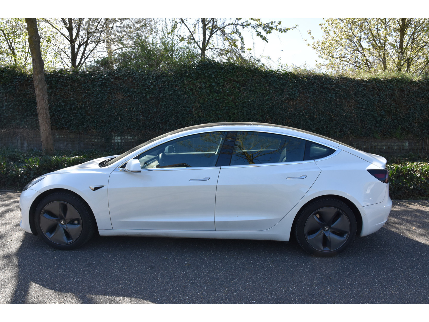 Tesla Tesla