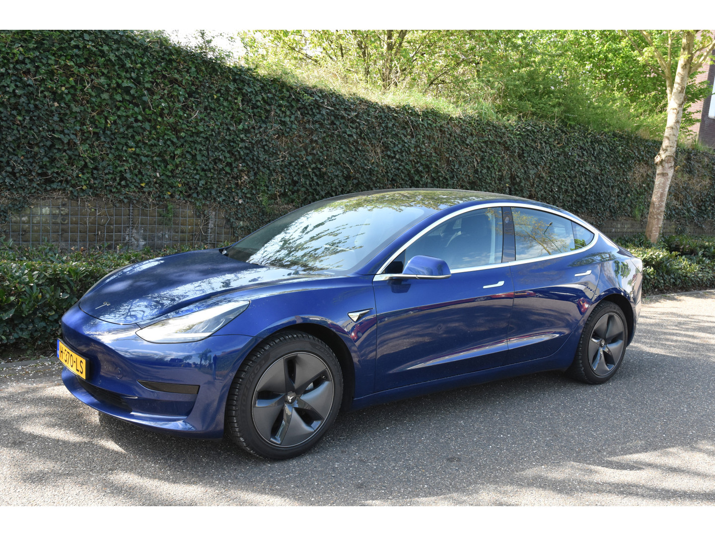 Tesla Tesla