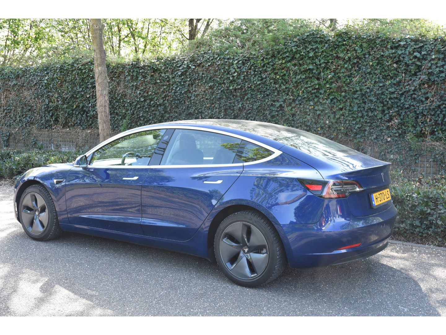 Tesla Tesla