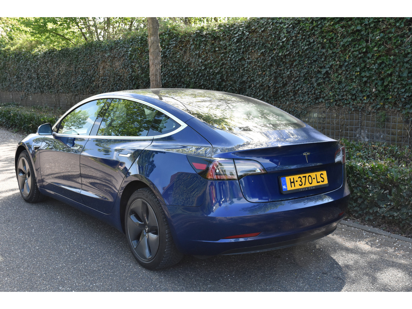Tesla Tesla