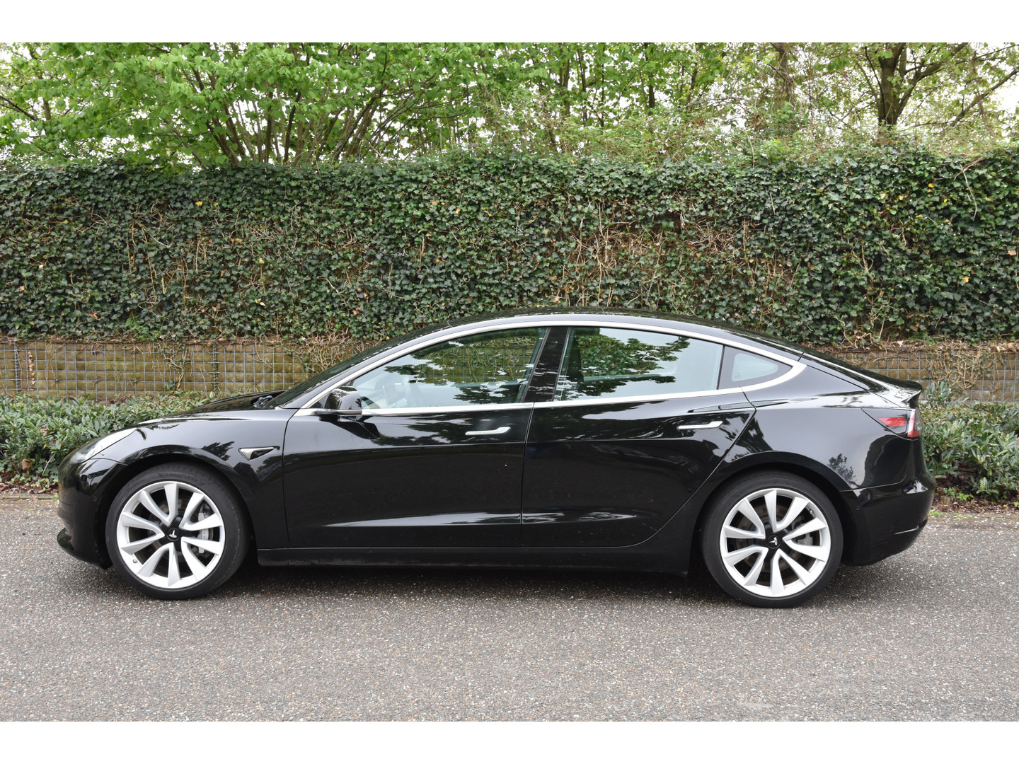 Tesla Tesla