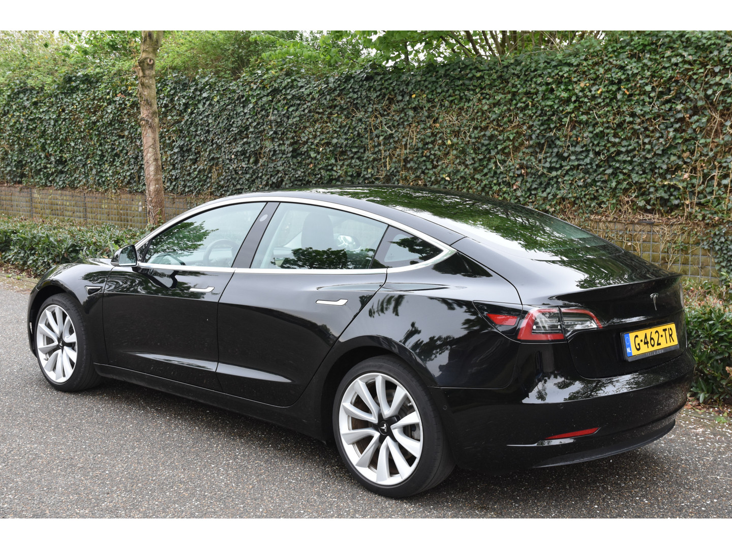 Tesla Tesla