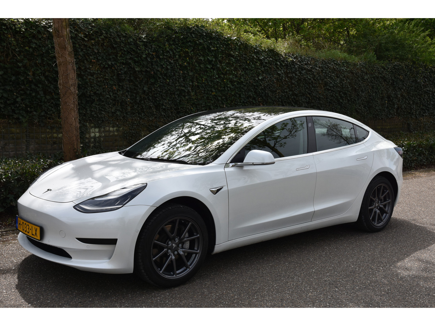 Tesla Tesla