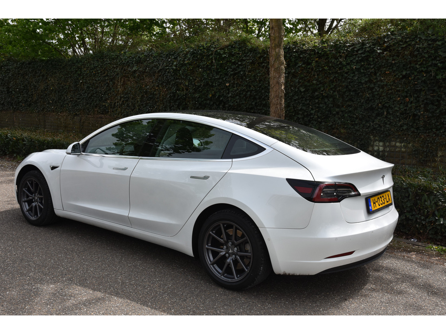 Tesla Tesla