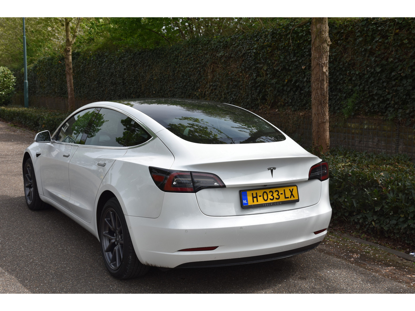 Tesla Tesla