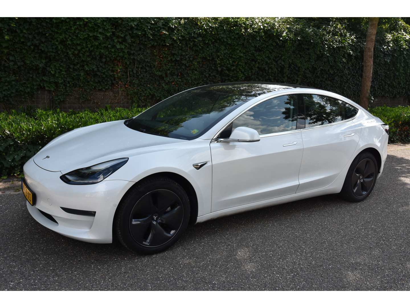 Tesla