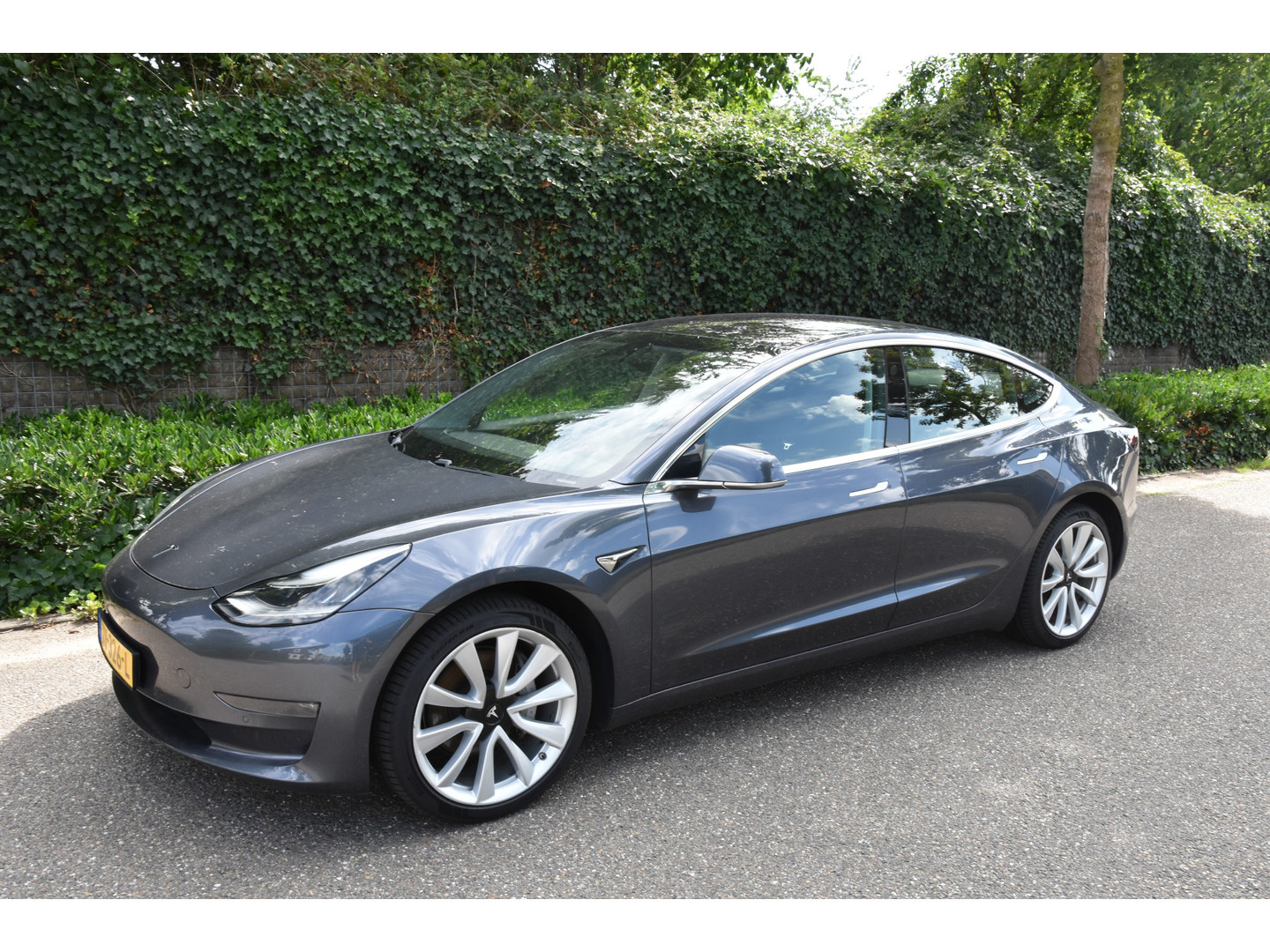Tesla Tesla