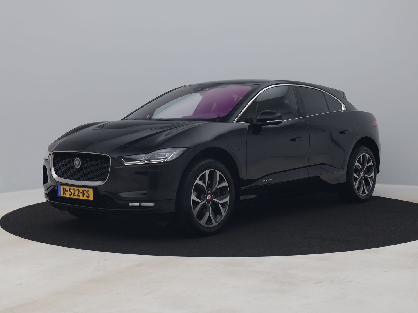 Jaguar Jaguar