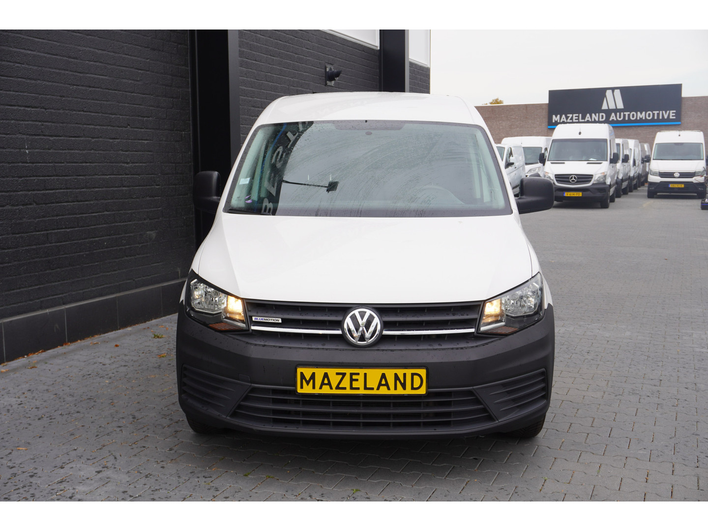 Volkswagen Volkswagen