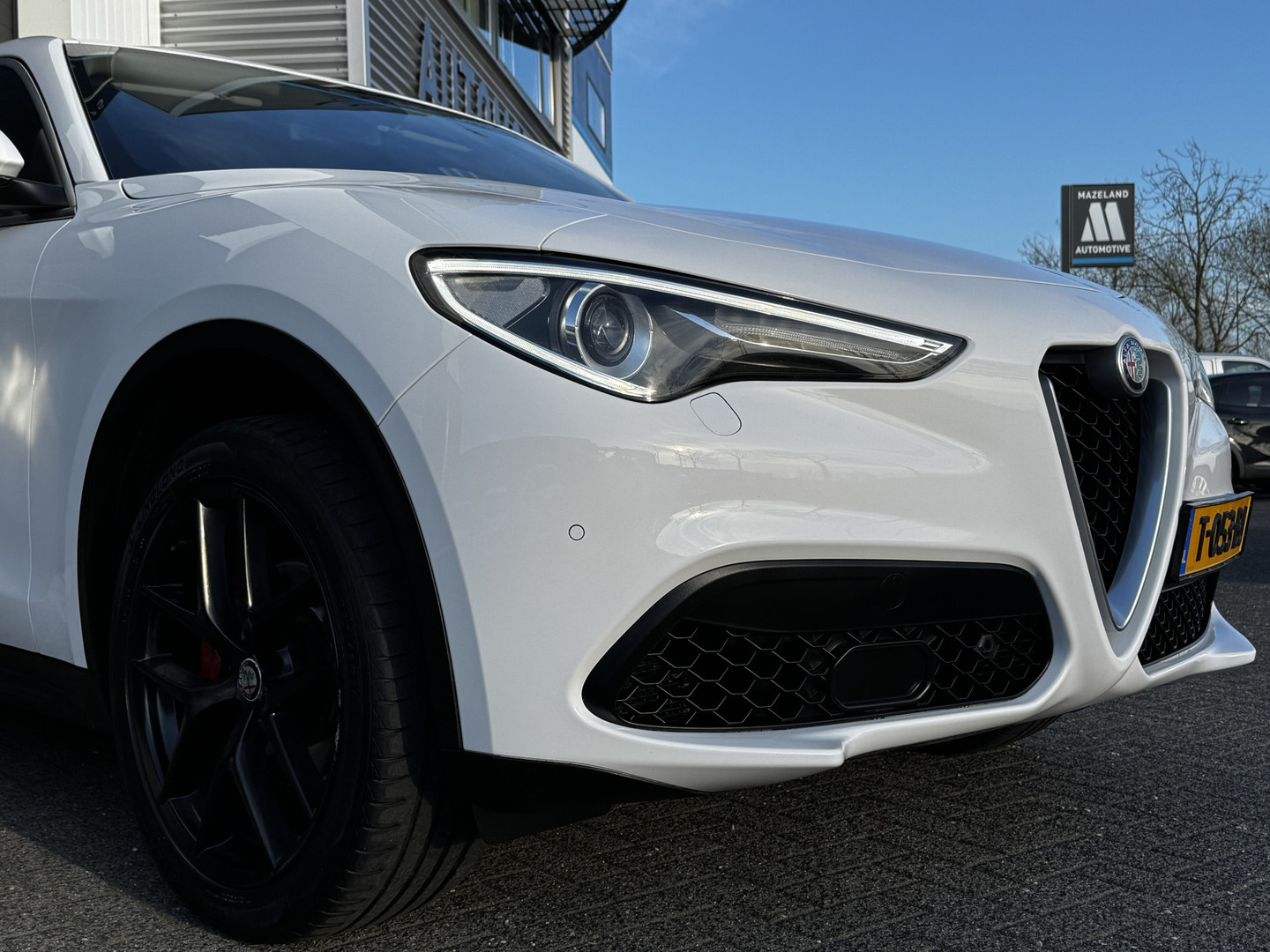 Alfa Romeo Alfa Romeo