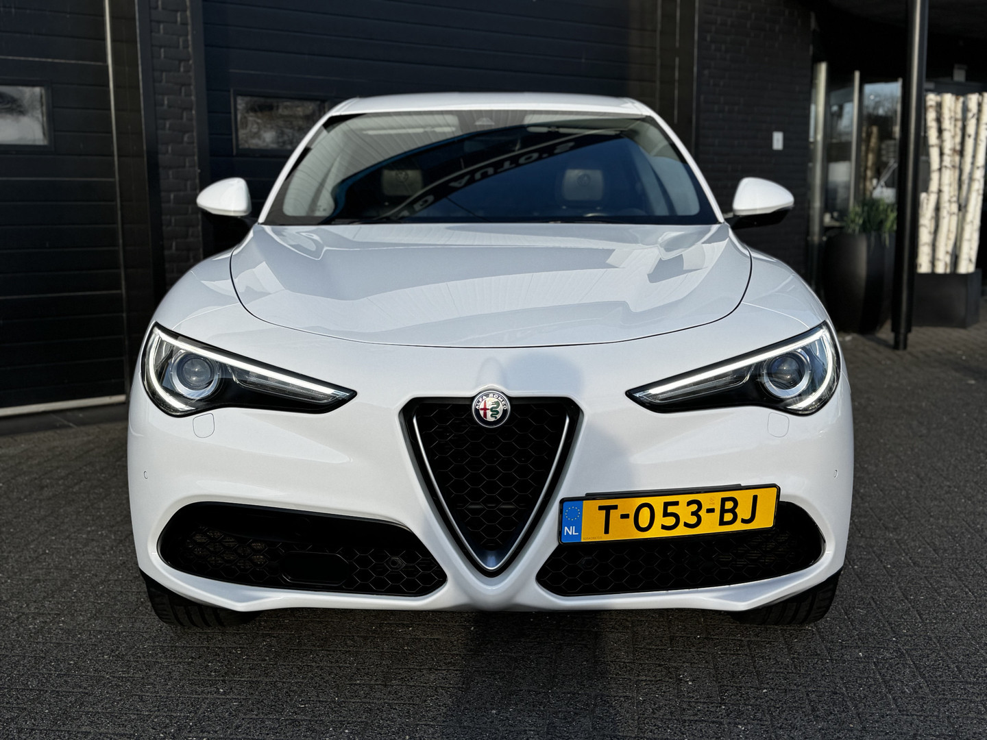 Alfa Romeo Alfa Romeo