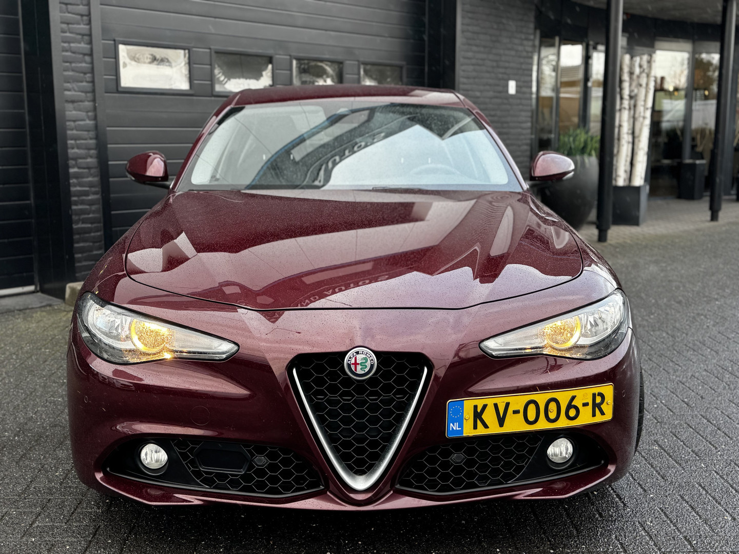 Alfa Romeo Alfa Romeo