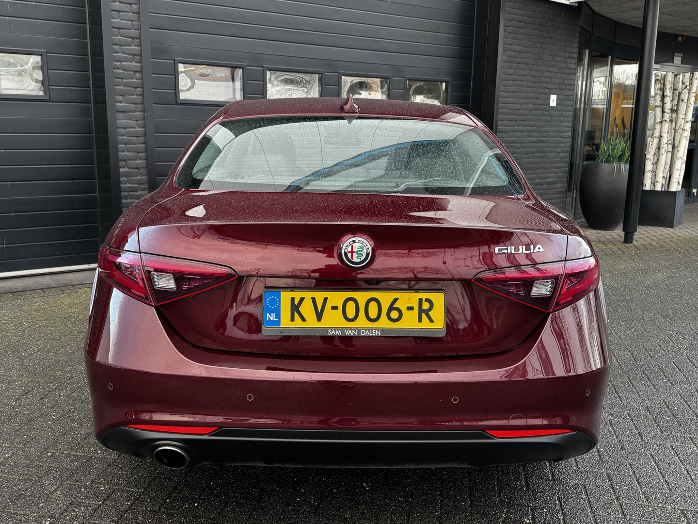 Alfa Romeo Alfa Romeo