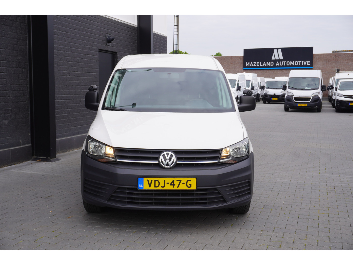 Volkswagen Volkswagen