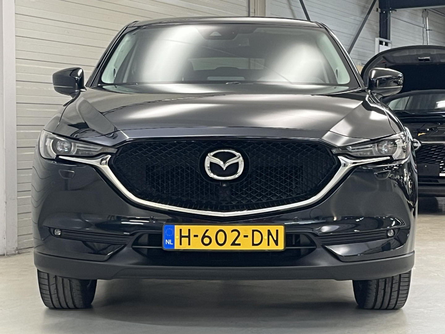 Mazda Mazda