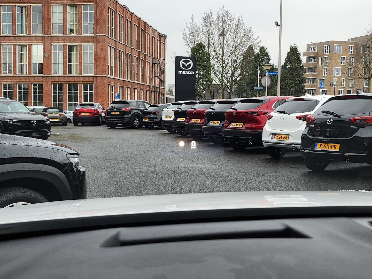 Mazda Mazda