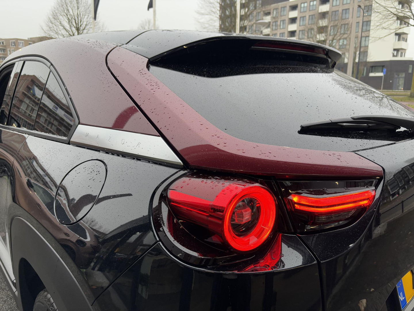 Mazda Mazda