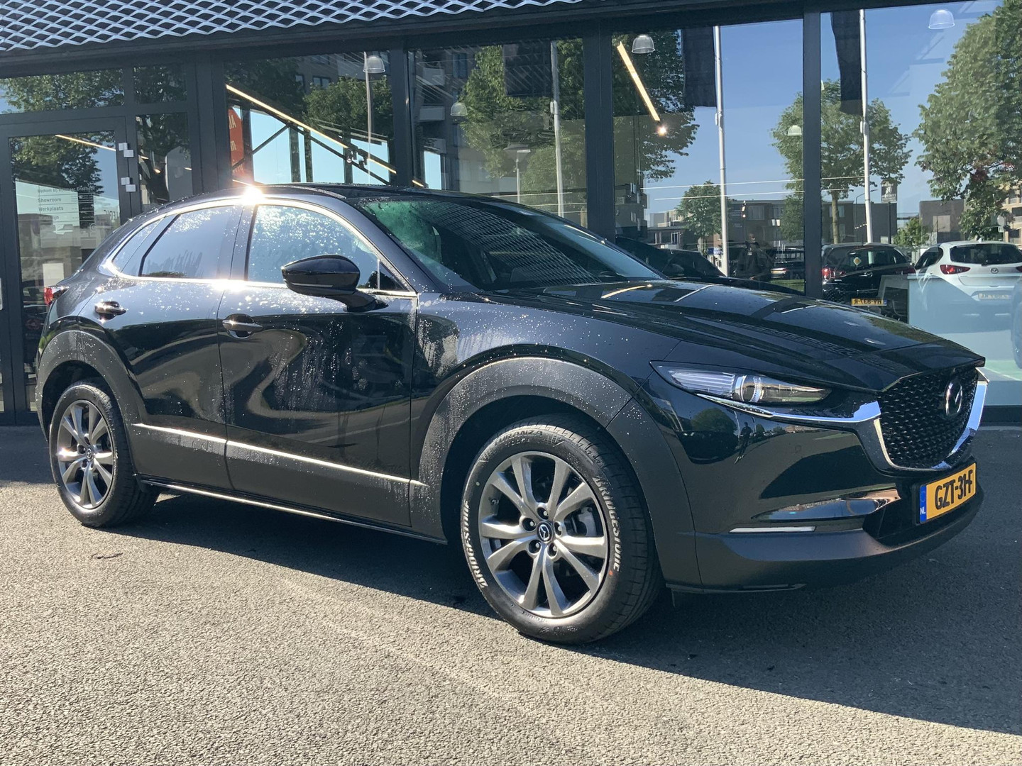 Mazda Mazda