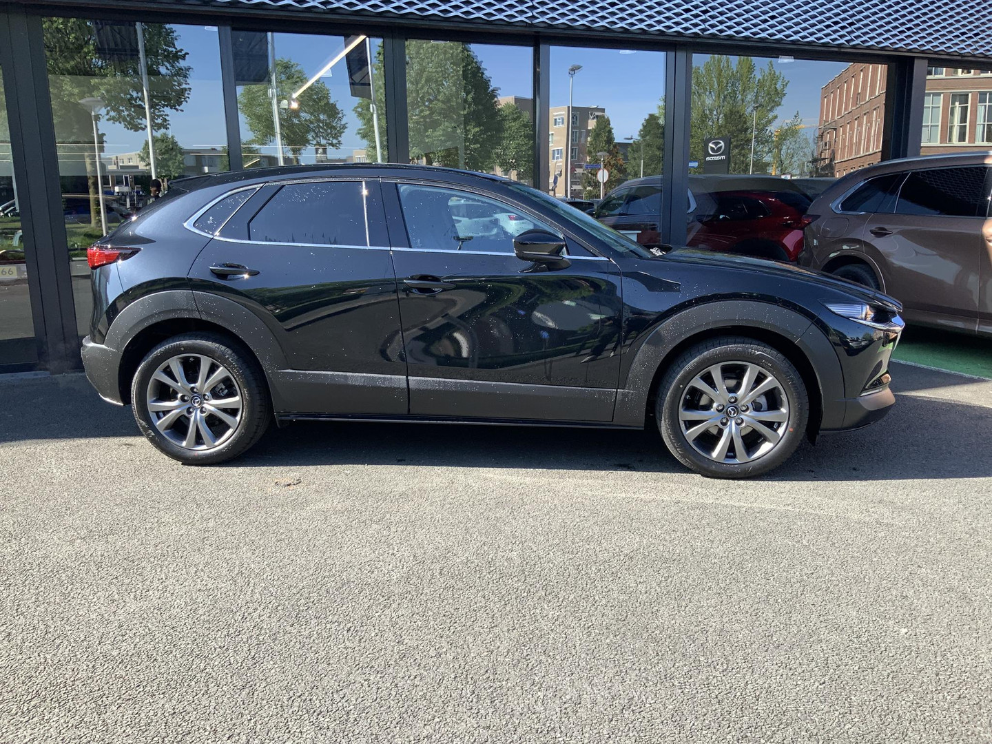 Mazda Mazda