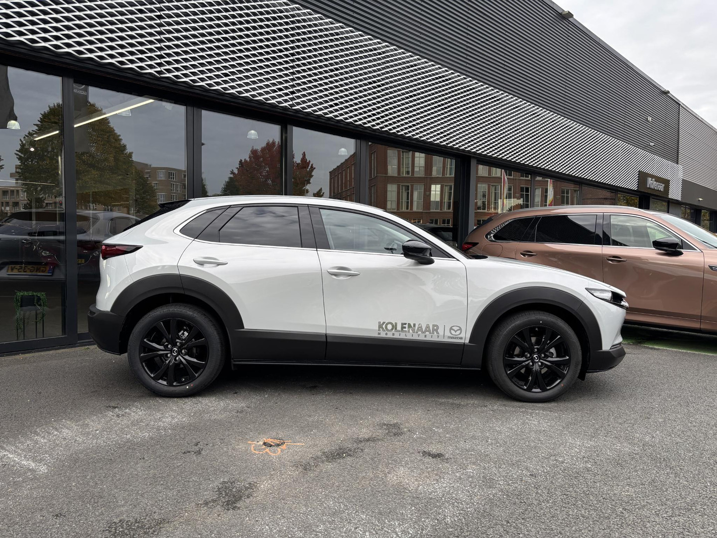 Mazda Mazda