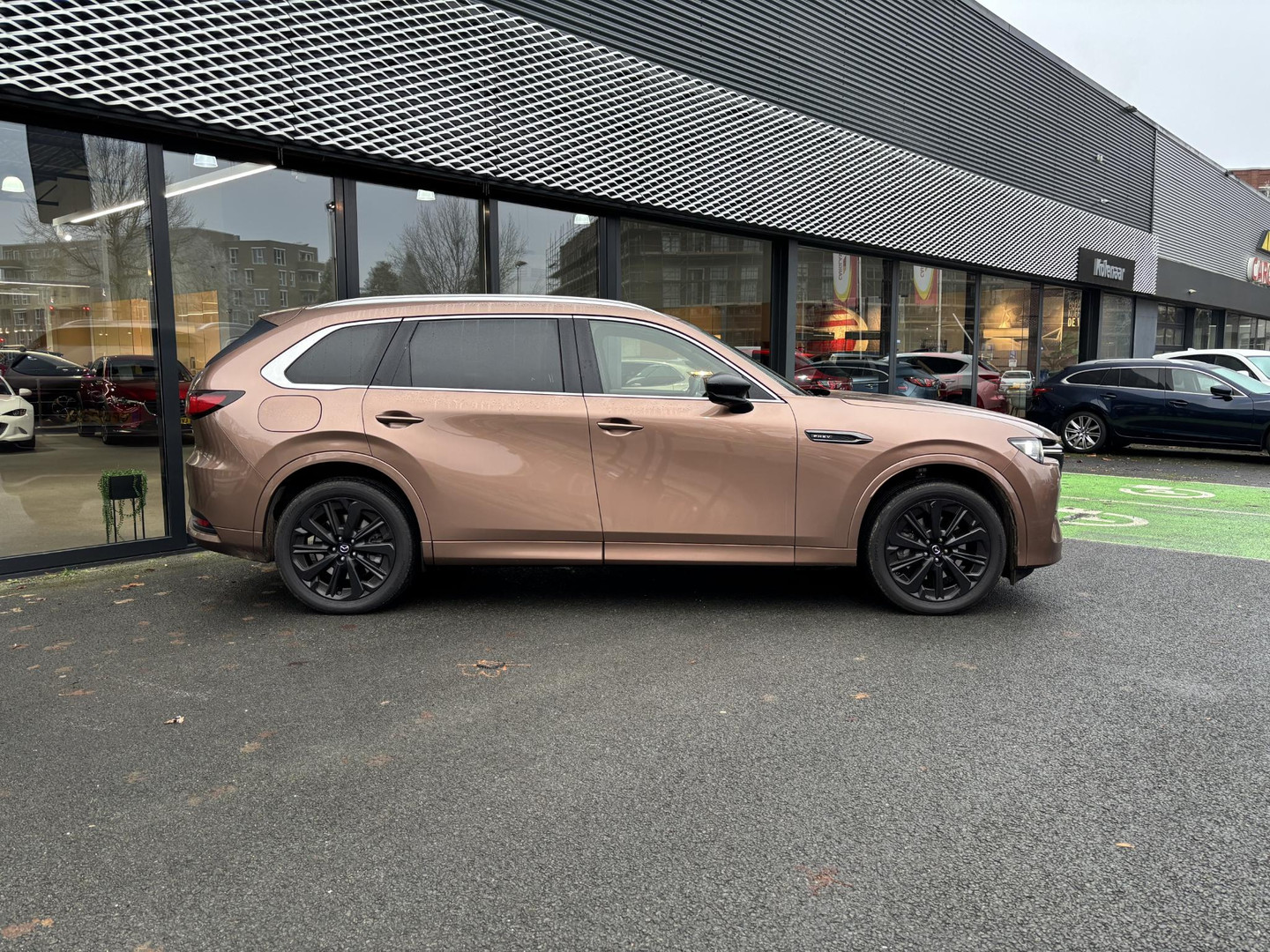 Mazda Mazda