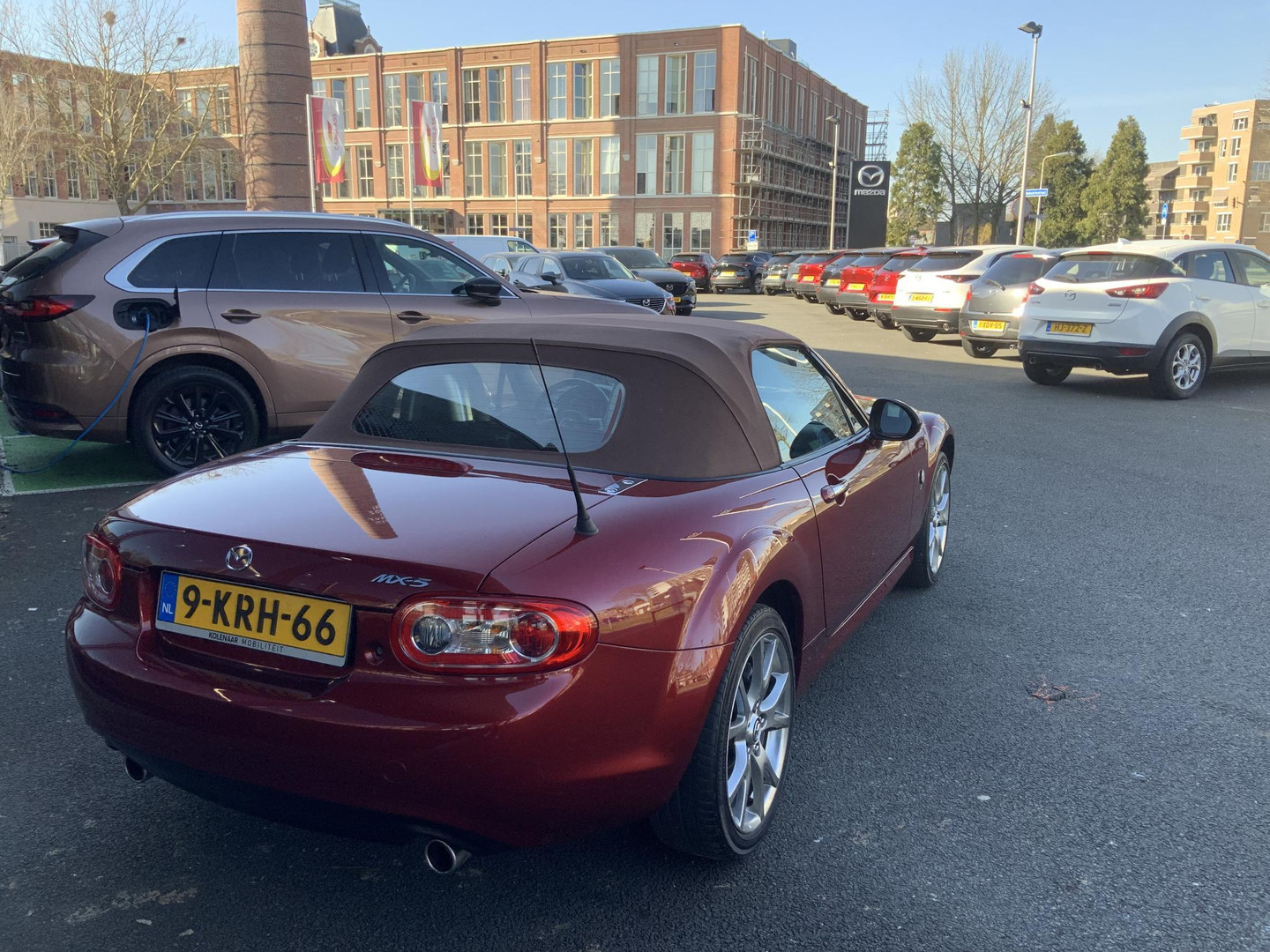 Mazda Mazda