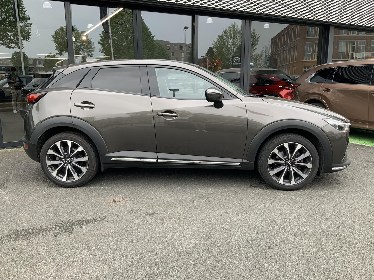 Mazda Mazda