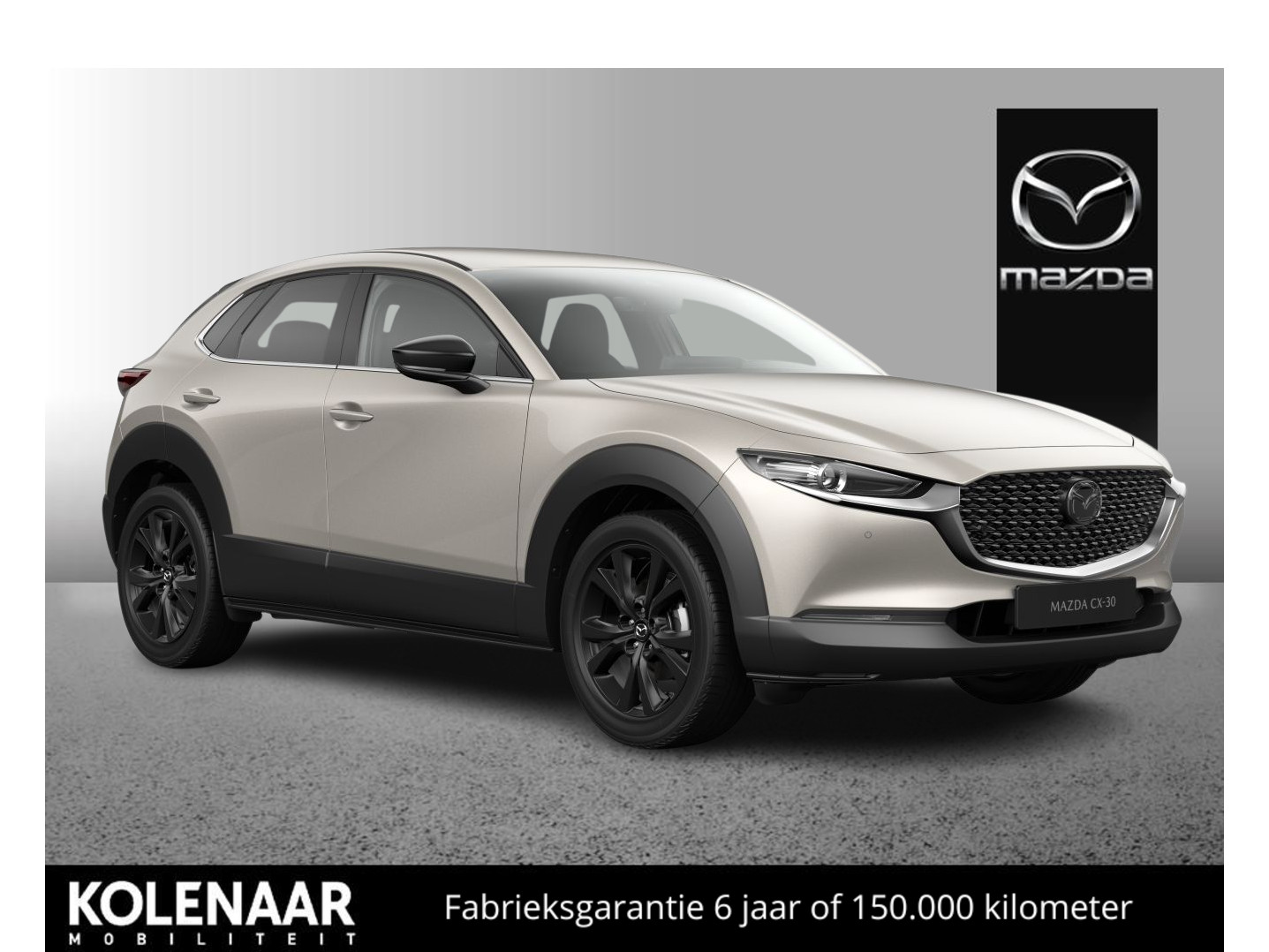 Mazda Mazda