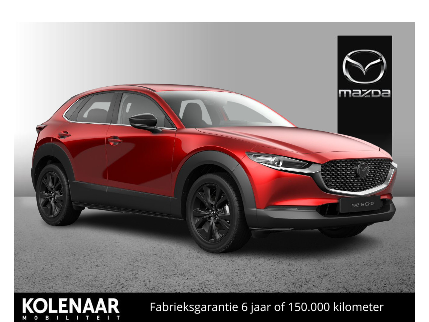 Mazda Mazda