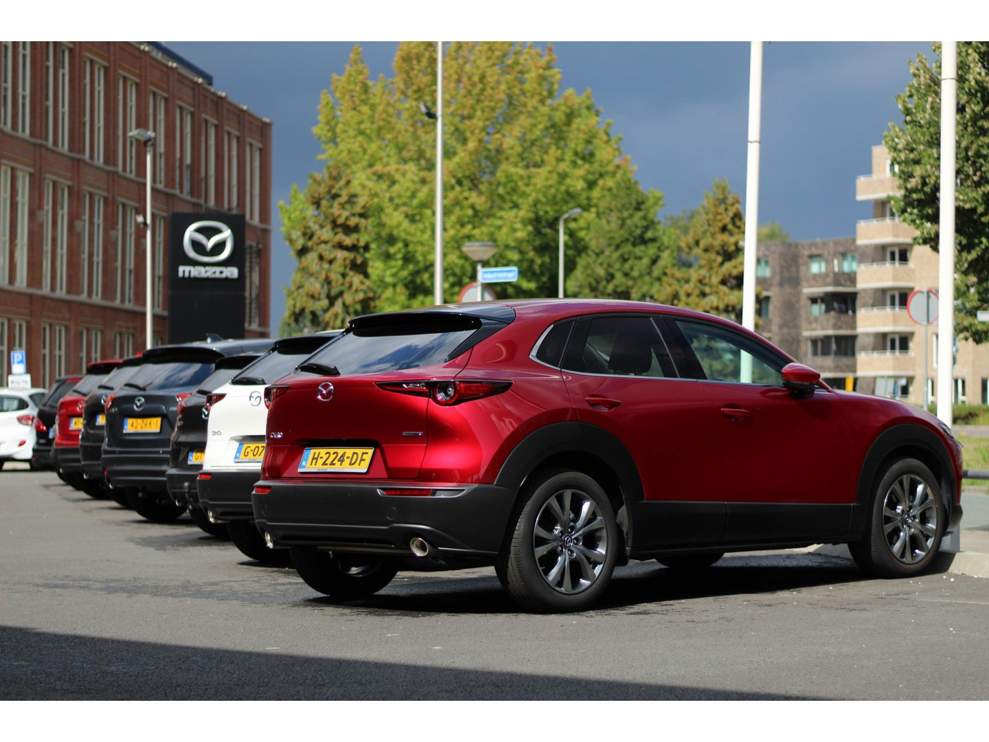 Mazda Mazda